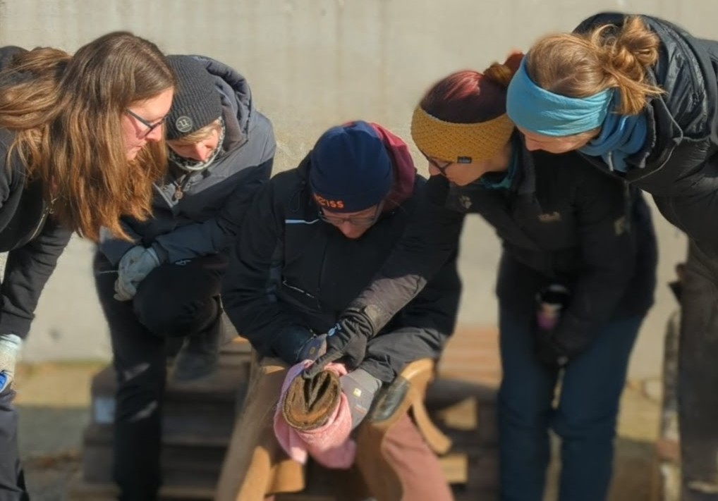 Die besten HuffreuNde, die man sich wünschen kann: (v.r.n.l.) Milena Keil, Nathalie Kurz, Uschi Sündermann, Julia Jachs und ganz links bin ich ;-)