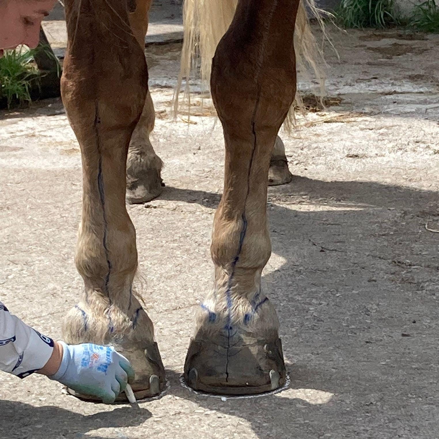 Das Weiterbildungsjahr 2025